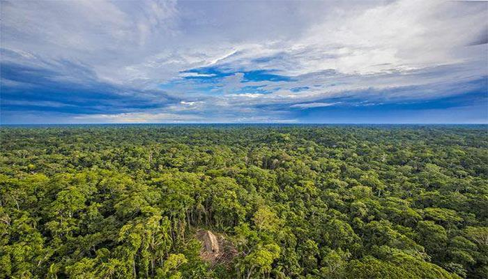 Бразилия направит $245 млн на защиту Амазонии