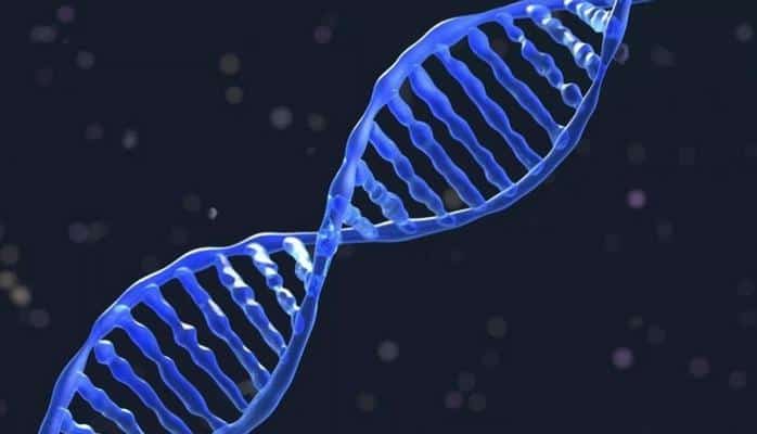 Wikipedia’nın 16 GB’lık verisi DNA’ya kaydedildi