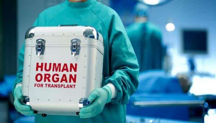 "Qara bazar"da qara ciyər neçəyədir? - Orqanların qiymətləri