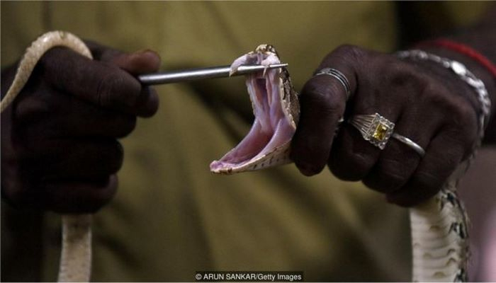 Cənubi Hindistanın ilan insanları