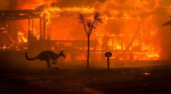 Avstraliya hökuməti təbiətin bərpasına 35 milyon dollar ayıracaq