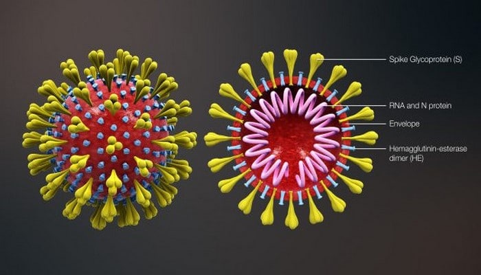 ÜST: Koronavirus vaksininin sınaqları apreldə başlayacaq