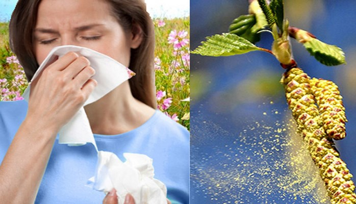 Yaz allergiyasının təbii vasitələrlə müalicəsi. Resept