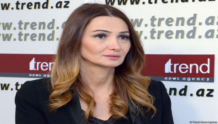 Qənirə Paşayeva: AŞ PA və ATƏT-in müvafiq strukturları Azərbaycana qarşı antipatiyasını heç cür gizlədə bilmir