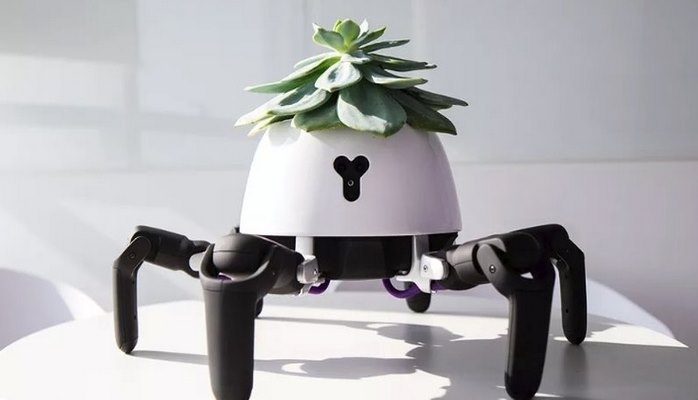 Ağıllı robot-dibçək: bitkinin kökləri böyüyəndə nə olacaq?