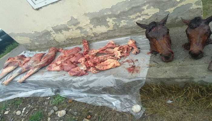 В Баку обнаружено мясо неизвестного происхождения