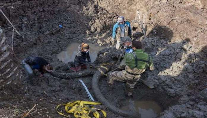 Tarlasını şumlayarkən tarixi "xəzinə" tapdı- Hamı əraziyə axışdı