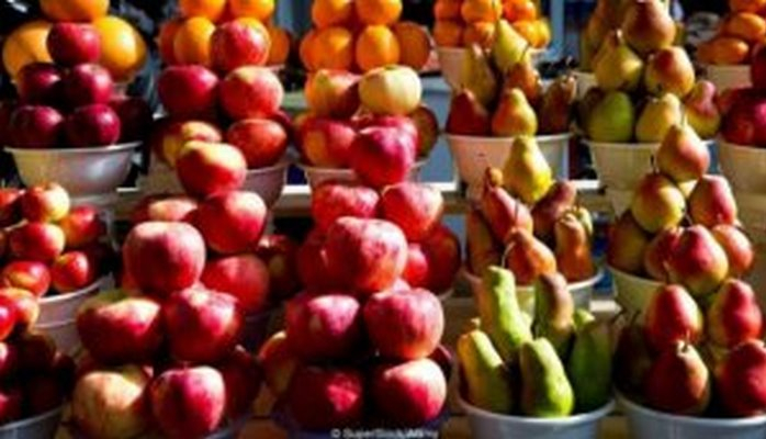 Müasir almanın vətəni haradır?