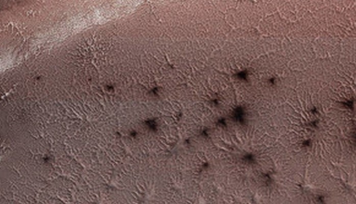 NASA Marsda sürünən "hörmüçəklər"in fotosunu yayıb