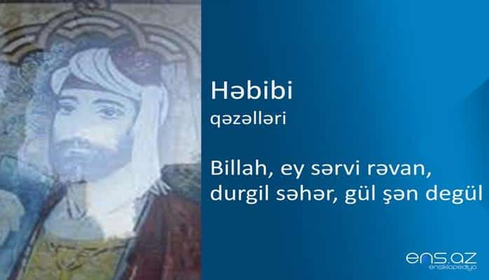 Həbibi - Billah, ey sərvi rəvan, durgil səhər, gül şən degül