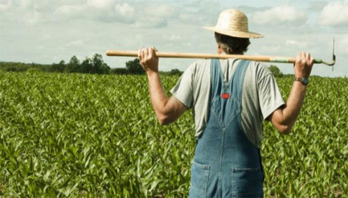 Azərbaycanda kənd təsərrüfatı sahəsində mobil laboratoriya xidməti istifadəyə veriləcək