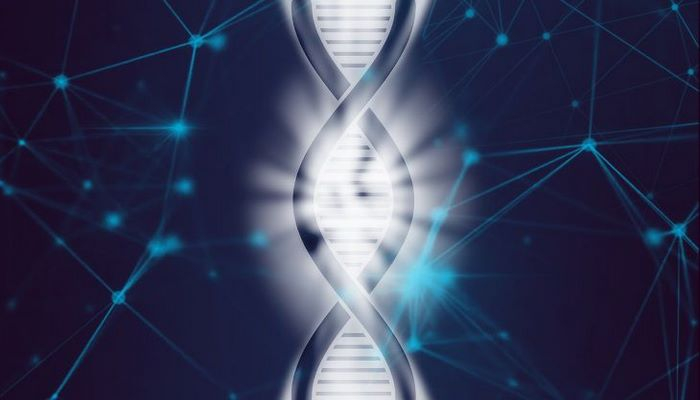 Ученые: гены оживают после смерти