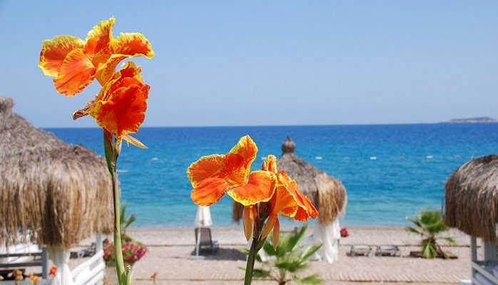 Турпоток из России в Турцию превысил результаты всего прошлого года