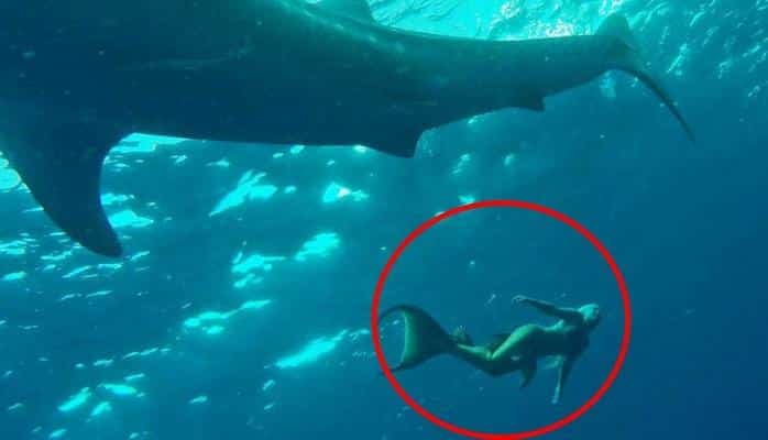 Русалки: Реальность или массовая галлюцинация?