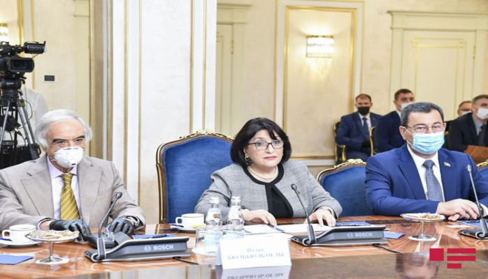 Sahibə Qafarova: “Hadisələrin gedişatı onu göstərir ki, Ermənistan böyük müharibəyə hazırlaşır”