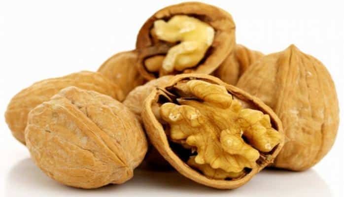 Qoz ləpəsinin qəbulu zehni inkişafı yaxşılaşdırır