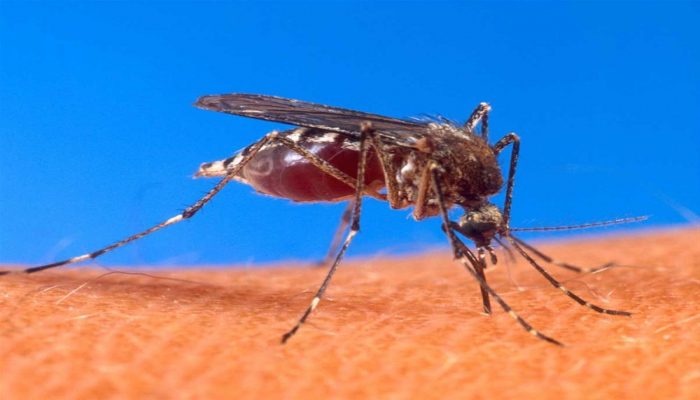 ВОЗ признала Азербайджан свободной от малярии страной