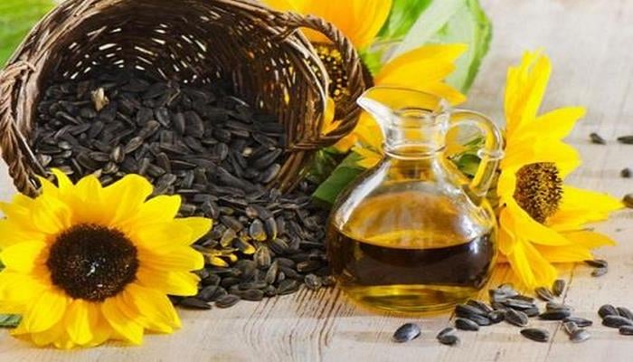 Günəbaxan tumu kökəldirmi?