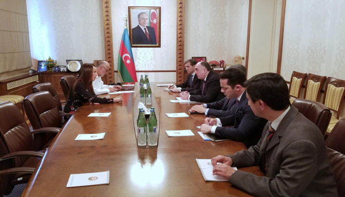 Глава МИД Азербайджана Э.Мамедъяров принял президента Межпарламентского союза Г.К. Баррон