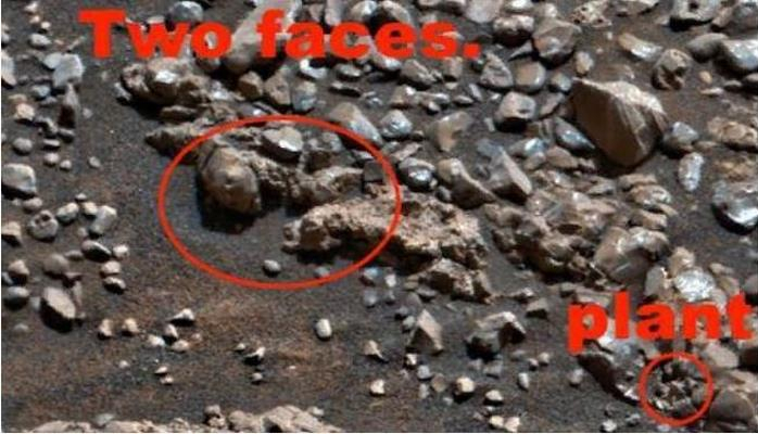 На Марсе обнаружены чужеродные черепа и кактус