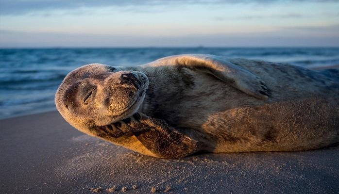 35 снимков с животными, которые заставят вас улыбнуться