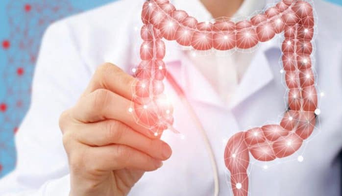 Həzm sistemini gücləndirən təbii üsullar