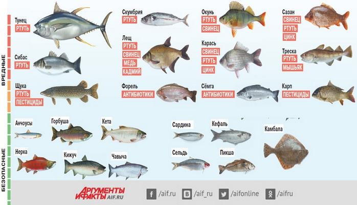 Рыбы сравнение таблица