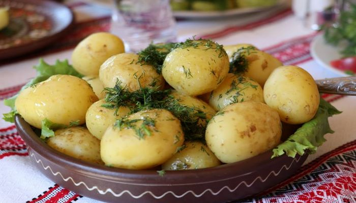 Как выращивать ранний картофель. Все о сортах и посадке