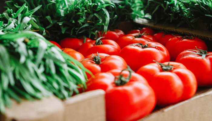 Şəmkirdə pomidor bolluğu problem yaratdı: fermerlər narazıdır