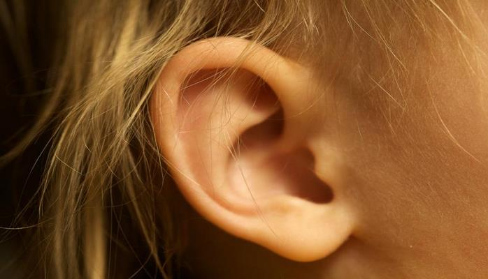 Ученые объяснили природу чувствительности человеческого уха