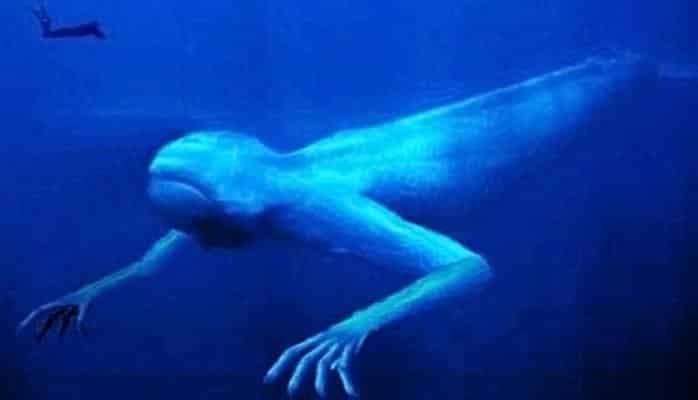 Океаноиды: Выдумка фантазеров или реальные существа?