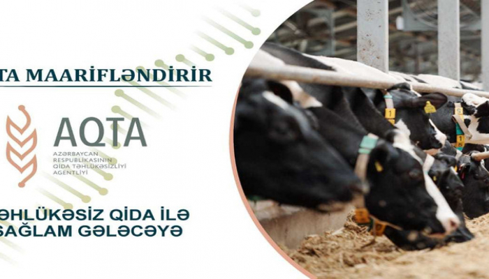 Bruselyoz xəstəliyi nədir və necə yayılır?