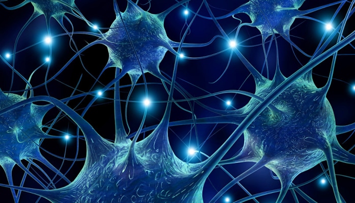 Bunu etmək xərçəngin qarşısını alır – Tədqiqat