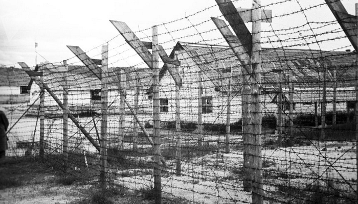 Faşizmin zülmünə məruz qalan qadın Finlandiyadan üzrxahlıq tələb edir