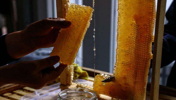 В Азербайджане отобраны пчеловоды для участия в ярмарке меда