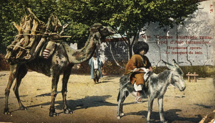 Кавказ, Центральная Азия и Константинополь на старинных открытках (ФОТО)