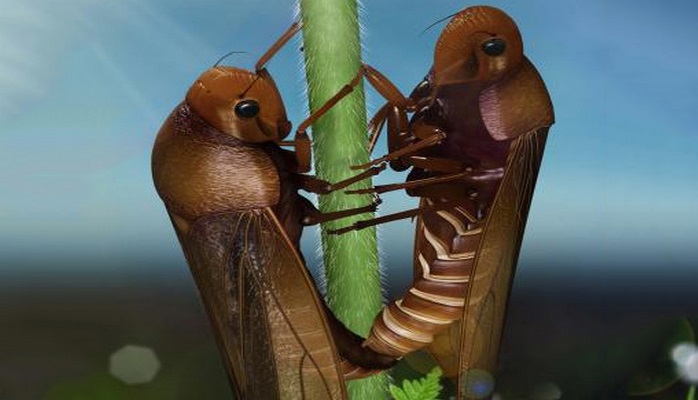 Ученые обеспокоены массовым вымиранием насекомых