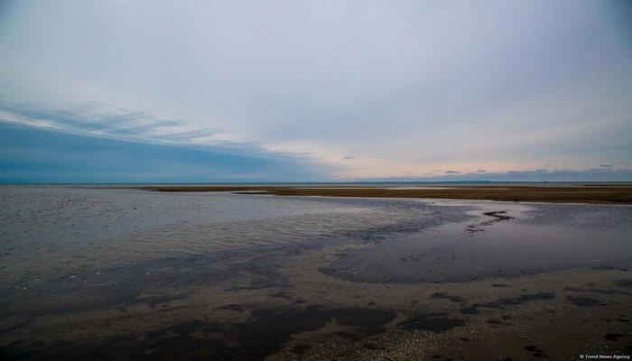 Azərbaycanın ən ucqar şərq nöqtəsi: Qartalın dimdiyi, quşların qışlağı, suitilərin adası...