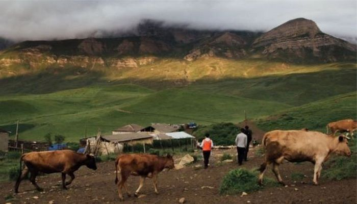 Azərbaycan: Rayonlarda istirahət etmək istəyənlər nədən şikayətlənir?