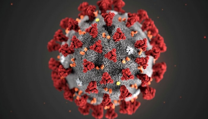 ABŞ-da 13 nəfər koronavirusa yoluxub