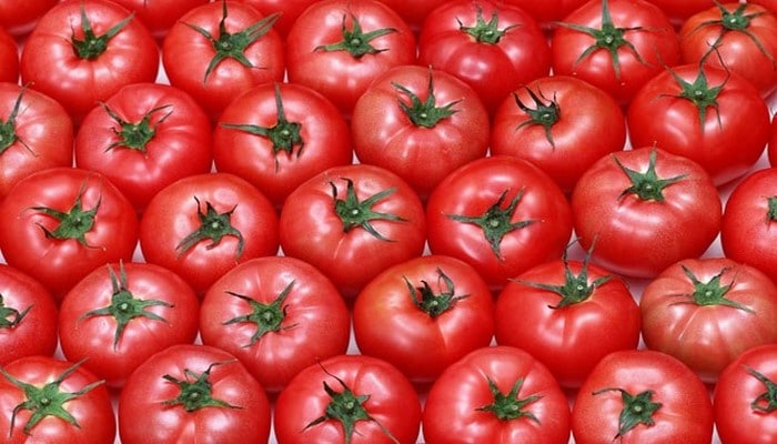 Koronavirusdan Azərbaycan pomidoruna xeyir