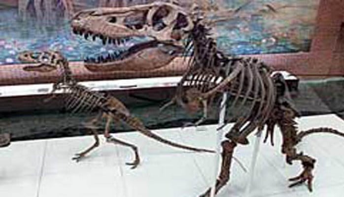 Аргентина представила миру новый вид динозавра
