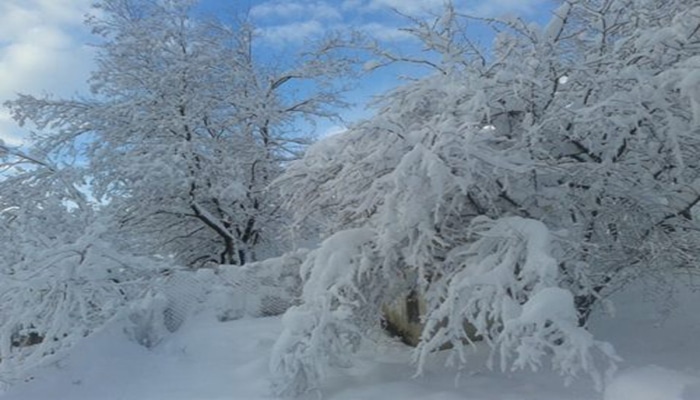 В Ярдымлы толщина снежного покрова составила 4 см