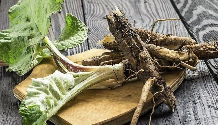 Xərçəngi yox edən möcüzəvi bitki