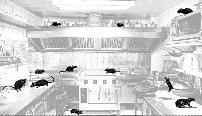 В Европе с санэпидемстанцией не шутят