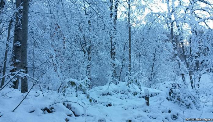 Шамахинская астрофизическая обсерватория о наступлении весны в Азербайджане