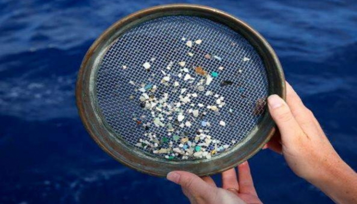 Сколько микропластика может выдержать наш организм