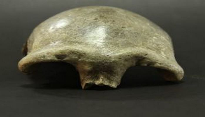 Учёные обнаружили 35000-летний череп современного человека