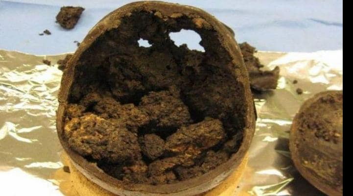 Quyunun dibindən tapılan kəllə sümüyü - 2600 il ərzində parçalanmayıb - Onu qoruyan möcüzəvi maddələr...