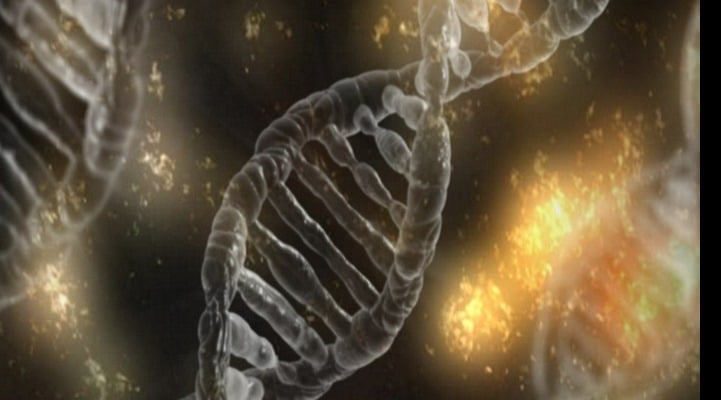 Алгоритм поможет биологам разобраться в регуляции генов
